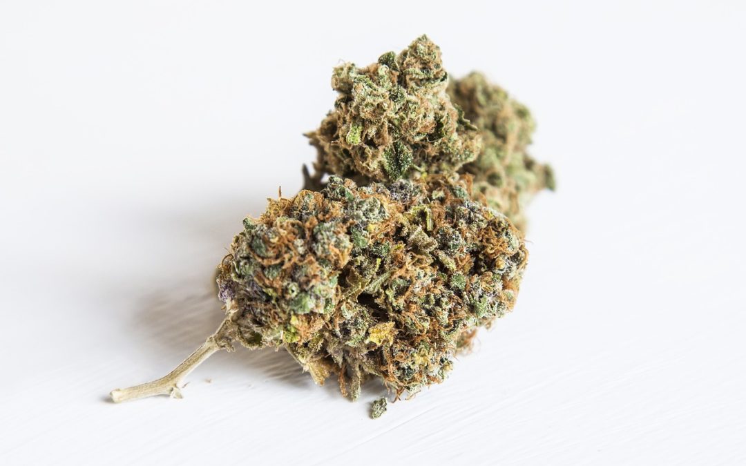 Ultimate Guide to CBD Flower Strains