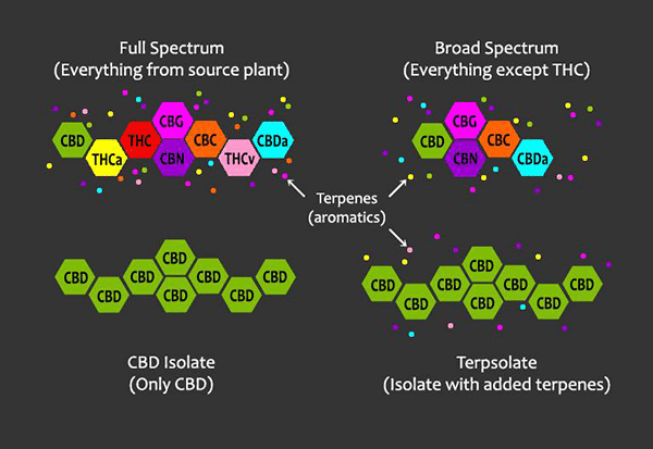 cbd isolate vs full spectrum, CBD Isolate vs. Full Spectrum