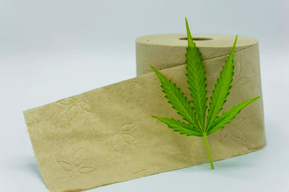 , Why Hemp Toilet Paper Is The Future