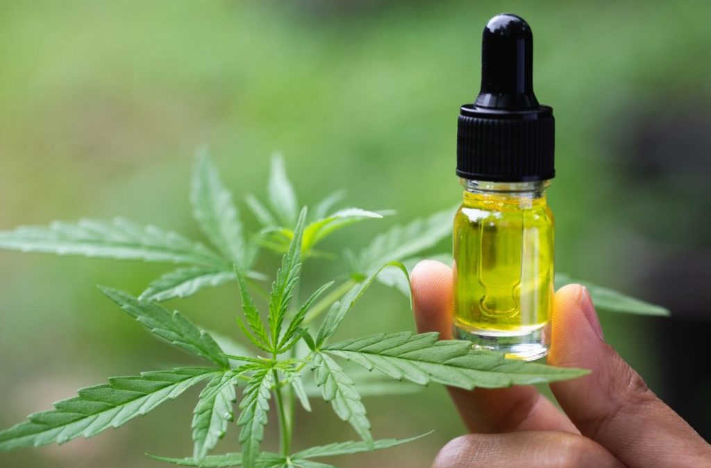 Does CBD Oil Smell Like Weed?