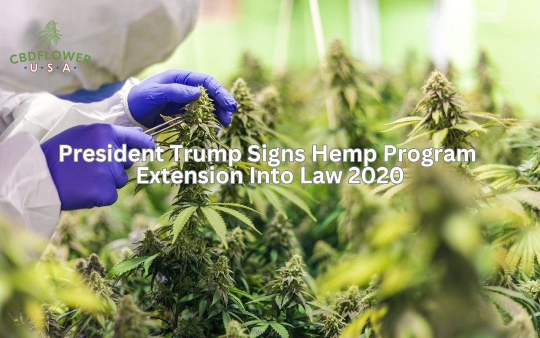 President Trump Signs Hemp Program Extension Into Law 2020